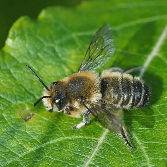 Intérieur du salon Jona Coiffure